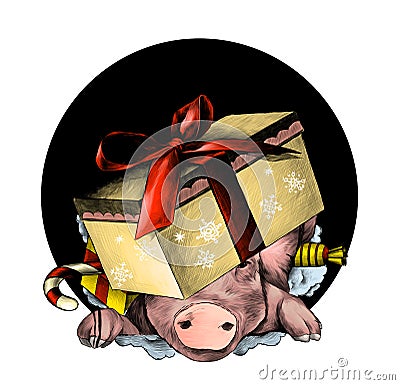 Christmas pig`s head in a festive cardboard box with a bow on his head climbs out of the hole Cartoon Illustration