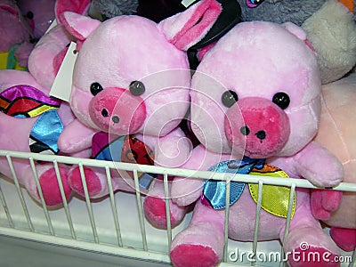 Christmas pigs in the store Stock Photo