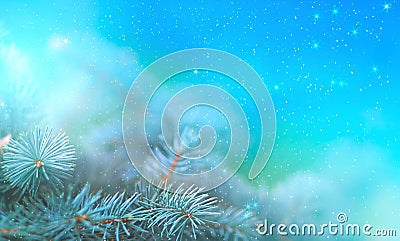 Christmas pine branch in the rays of light close up, blue background with reflections of stars and beautiful bokeh of lanterns. Stock Photo