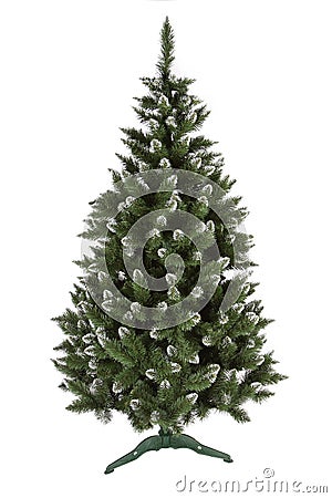 Christmas pine tree isolated on white background Stock Photo