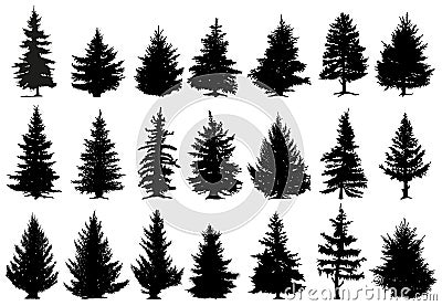 Christmas pine trees silhouettes. Coniferous forest monochrome woods, vintage fir trees silhouettes vector isolated Vector Illustration