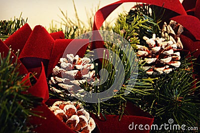 Christmas Pinecones Stock Photo