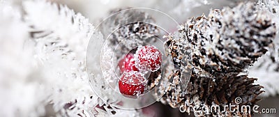 Christmas pinecones and holly berry Stock Photo