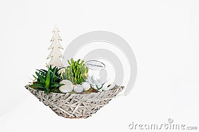 Christmas plant arrangement Stock Photo