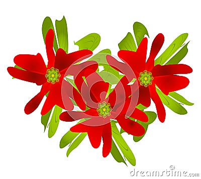 Christmas Poinsettia Clip Art Cartoon Illustration