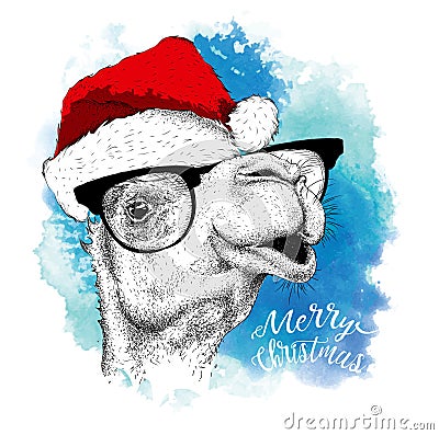 The christmas poster with the image camel portrait in Santa`s hat. Vector illustration. Vector Illustration