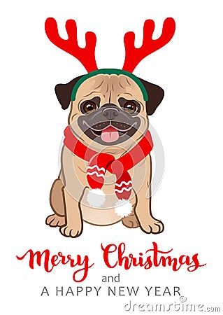 Christmas pug dog cartoon illustration. Cute friendly fat chubby Cartoon Illustration