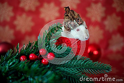 Christmas rat Symbol of the new year 2020. Christmas card. Chinese New Year 2020. Christmas toys, bokeh Stock Photo
