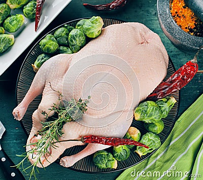 Christmas raw duck served on a kitchen table. Stock Photo