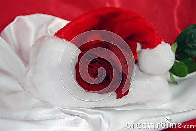 Christmas Red Stock Photo