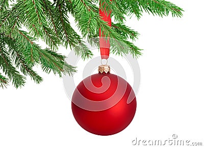 Christmas red ball hanging on a fir tree branch Isolated Stock Photo