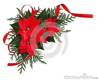 Christmas red poinsettia flowers corner arrangement with ribbon Stock Photo