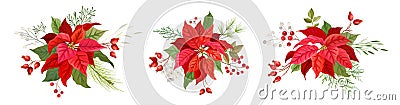 Christmas red poinsettia vector Flower. Winter plants, floral elements illustration watercolor concept Vector Illustration