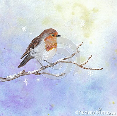 Christmas robin Stock Photo