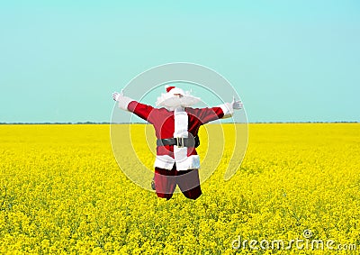 Christmas Santa Claus jumping in blooming yellow field. Stock Photo