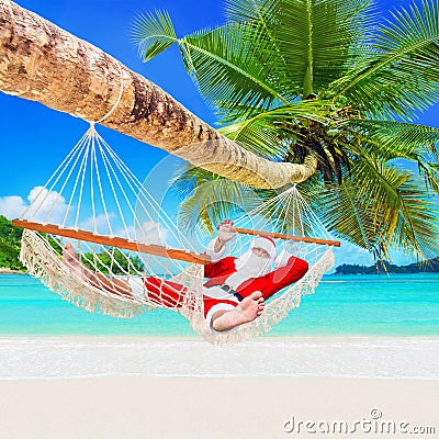 Christmas Santa Claus relax in hammock at tropical palm sandy ocean island beach Stock Photo