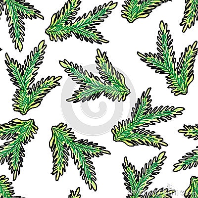 Christmas seamless pattern hand-drawn. Green branch of the Christmas tree on a white background Stock Photo