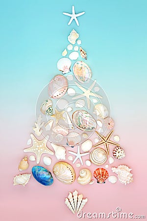 Christmas Seashell Tree for the Southern Hemisphere Stock Photo