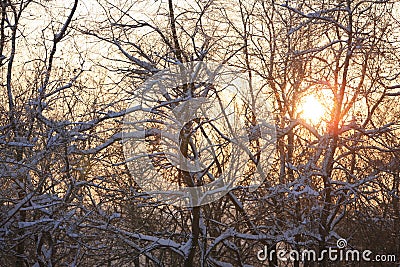 Christmas sky Stock Photo