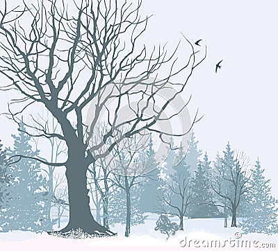 Christmas snow landscape wallpaper. Snowy forest background. Stock Photo