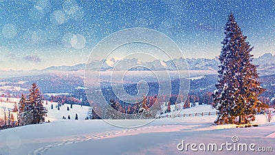 Christmas landscape. Christmas snowfall. Beautiful winter morning in mountains Stock Photo
