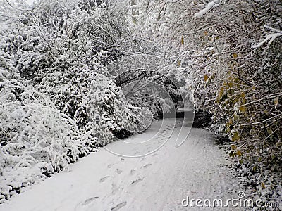 Christmas in snowy Cologne, Germany. Stock Photo