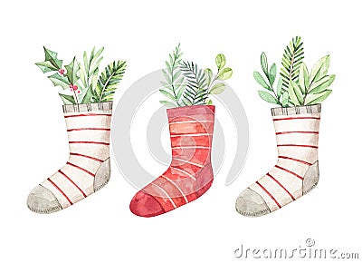 Christmas socks with greenery, eucalyptus, fir branches. Watercolor illustration. Happy new year. Winter design elements. Perfect Cartoon Illustration