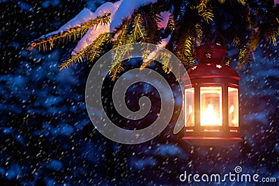 Christmas spirit in the night forest. Christmas tree in the snow Stock Photo