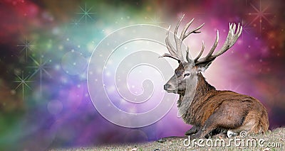 Christmas Stag on a festive background Stock Photo
