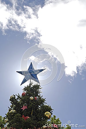 Christmas Star Stock Photo