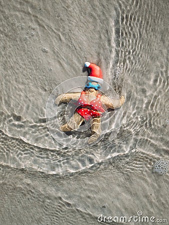 Christmas starfish in the surf on New Smyrna Beach, Florida Stock Photo