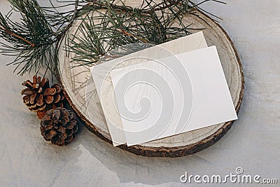 Christmas stationery. Blank greeting card, invitation mockup on cut wooden round board. Green pine tree branch in Stock Photo