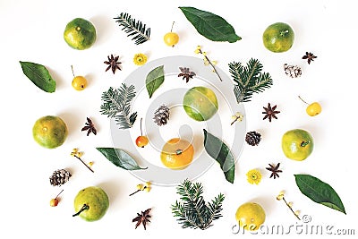 Christmas styled composition. Tangerine citrus fruit and leaves, fir tree branches, anise stars, holly berries and Stock Photo