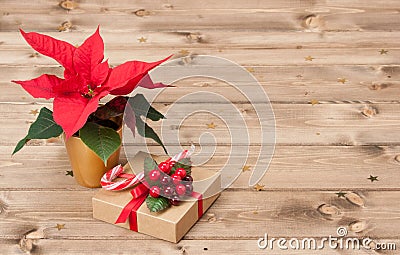 Christmas Symbol. Poinsettia Flower. Gift Box Stock Photo