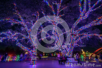 Christmas Lights Sparkle at Vitruvian Park in Addison Texas Editorial Stock Photo