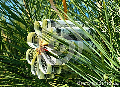 Christmas toy flower made of dollar bills on the branch of spruce Stock Photo