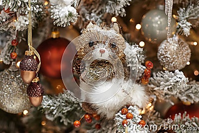 Christmas toy in the form of a squirrel with a bump hangs on a decorated Christmas tree Stock Photo