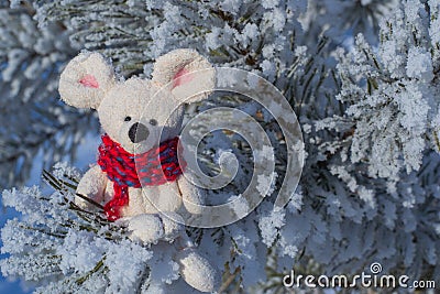 Christmas toy mouse, a symbol of the Chinese New Year. Sits on snowy branches. The concept of winter, warmth and comfort Stock Photo