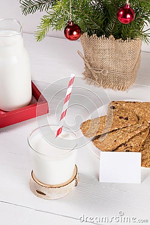 Christmas tradition image. Milk for Santa, cookies, spruce branches on white table. Stock Photo