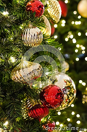 Christmas Tree Stock Photo