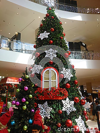 Christmas tree Editorial Stock Photo