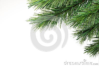 Christmas Tree Branch Background Stock Photo