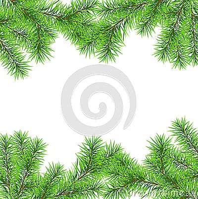 Christmas tree branch for decorate Vector Illustration