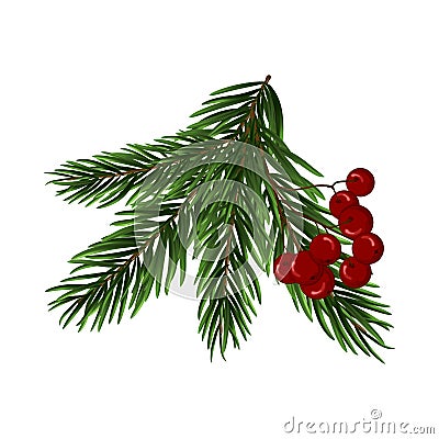 Christmas Tree Branch Vector Illustration