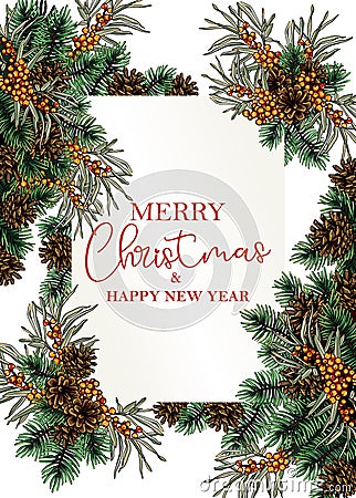 Christmas tree branches with cones and sea buckthorn, christmas frame Vector Illustration