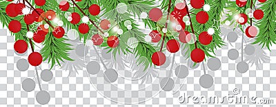 Christmas tree branches with holly berries on a transparent background. Holidays decoration banner. Vector Vector Illustration