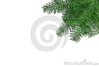 Christmas tree branches isolated over white Stock Photo