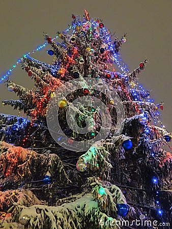 The Christmas tree is decorated with multi-colored garlands and toys. The holiday is coming. Stock Photo