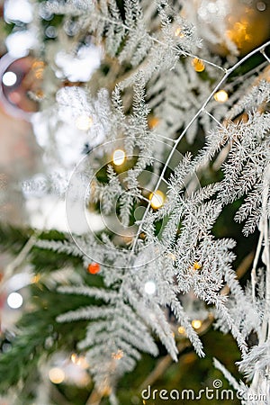 Christmas tree, decoration, finery, New Year, Christmas, Stock Photo