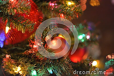 Christmas tree decoration with red ornament Stock Photo